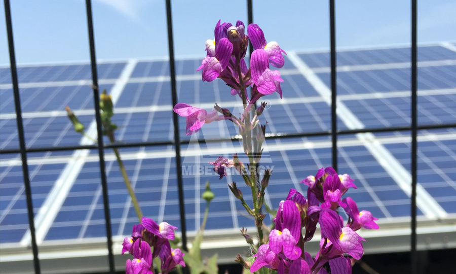 ���̫�(y��ng)��֧��