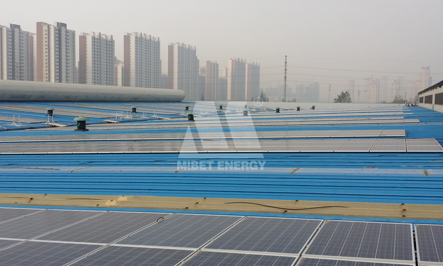 ���֧�܃r��