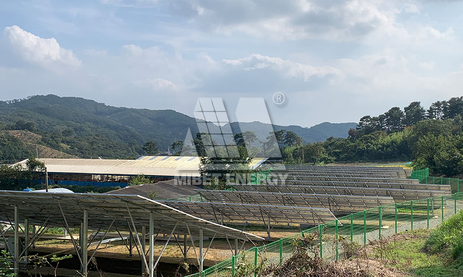 ���֧�܏S��