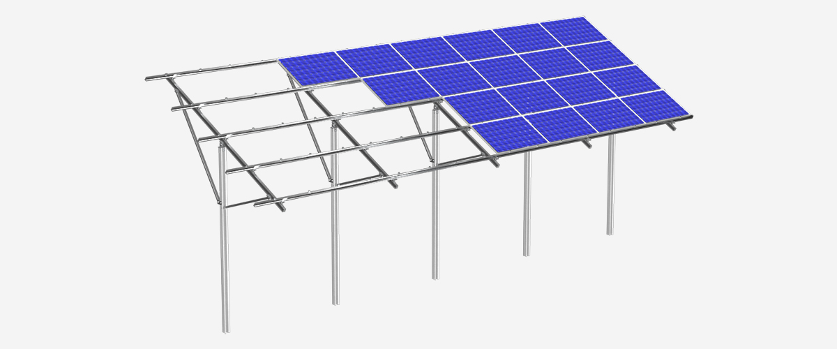 2  PGT2 ���D ����