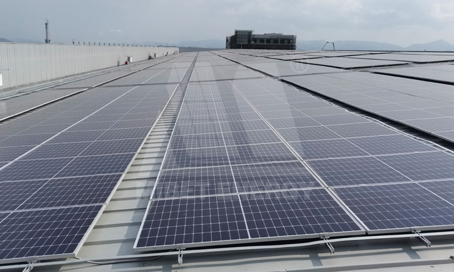 ���T�ž�������Ŀ �ڶ����D