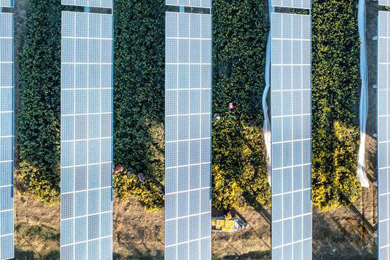 �r(n��ng)�⻥�a����վ�����Xɽ�r(n��ng)�􌍬F(xi��n)�p����