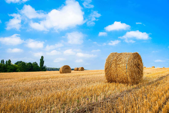 �����|(zh��)��Դ��ʲô��Դ��