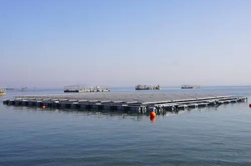 �ƾ֣����Ϲ����̽·�ߡ�