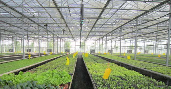 ����r(n��ng)�I(y��)����