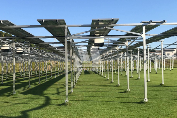 �r(n��ng)�I(y��)�������վ�ă�(y��u)��(sh��)