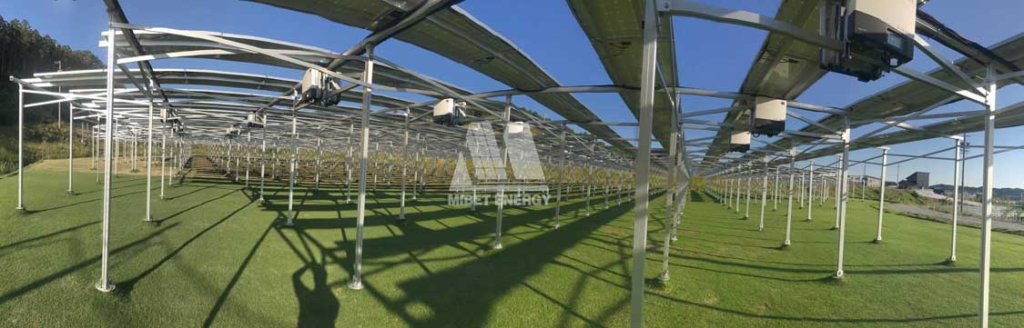 ����߲˴���ă�(y��u)�c