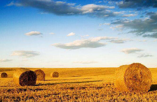 �����|(zh��)�ܵ�����