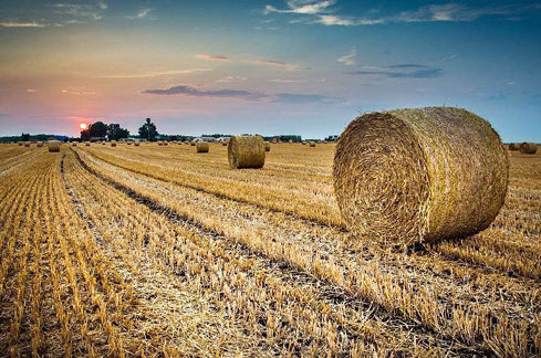 �����|(zh��)�ܰl(f��)늵�ǰ��