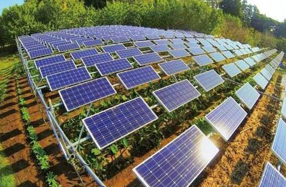 ���O�r�⻥�a����վ��ʲô��̎