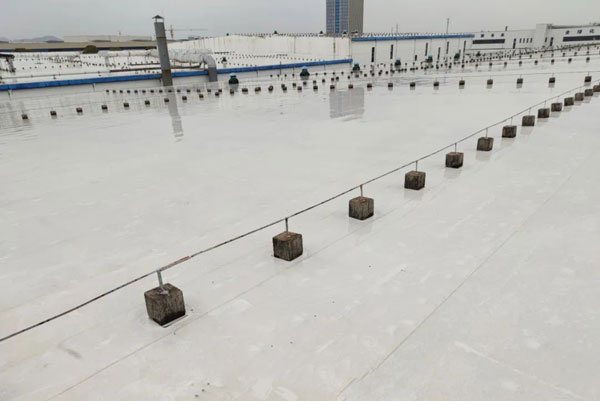 TPO������픹��̰���